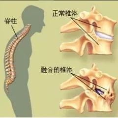 微信圖片_20181108084808.jpg